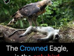 Deretan Fakta  Mencengangkan yang Patut Diketahui