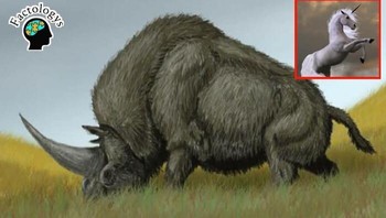 Unicorn sebenarnya sudah ada 29.000 tahun yang lalu. Unicorn Siberia tingginya sekitar 6,5 kaki, beratnya 4 ton. Foto: Instagram/factologys