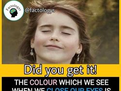 Deretan Fakta  Mencengangkan yang Patut Diketahui