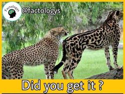 Deretan Fakta  Mencengangkan yang Patut Diketahui