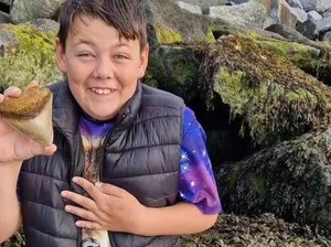 Bocah Ini Temukan Gigi Hiu Megalodon Seukuran Telapak Tangannya