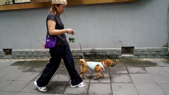 Pet owner Mi Jiayi walks her dog Mary in a cooling vest on a summer day in Shanghai, China July 19, 2023.
