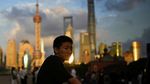 Hewan Peliharaan di China Pakai Rompi Pendingin Saat Cuaca Panas