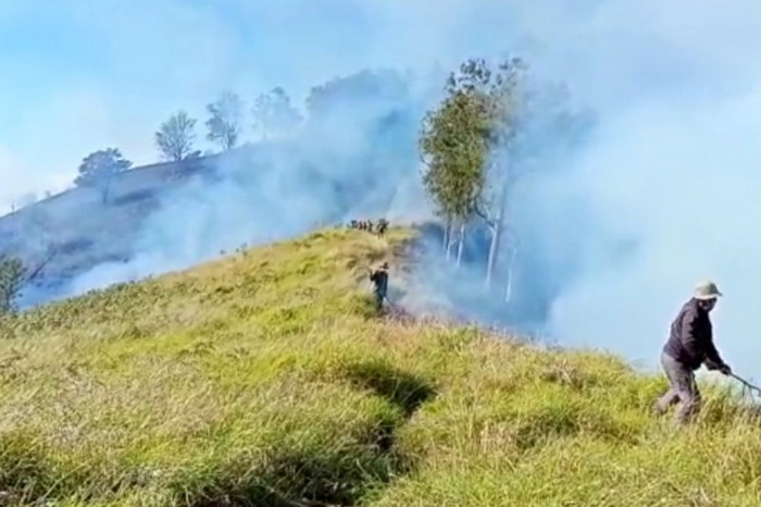 Ilustrasi: Kobaran si jago merah berupaya dijinakkan oleh tim gabungan dari BKPH Rinjani Timur bersama TNI-Polri, TNGR, pengelola bukit dan masyarakat setempat. (ANTARA FOTO).