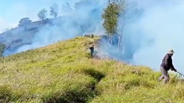 Ilustrasi: Kobaran si jago merah berupaya dijinakkan oleh tim gabungan dari BKPH Rinjani Timur bersama TNI-Polri, TNGR, pengelola bukit dan masyarakat setempat. (ANTARA FOTO).