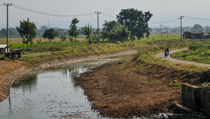 Pengendara melintas di samping Sungai Cikeruh yang mengering di Tegalluar, Kabupaten Bandung, Jawa Barat, Jumat (4/8/2023). Badan Meteorologi, Klimatologi, dan Geofisika (BMKG) Stasiun Klimatologi Jawa Barat mengeluarkan peringatan dini kekeringan meteorologis pada dasarian pertama 1-10 Agustus 2023 imbas dari adanya beberapa kabupaten yang telah berstatus siaga kekeringan di Jawa Barat. ANTARA FOTO/Raisan Al Farisi/foc.