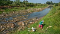 Warga berjalan di bantaran Sungai Cikeruh yang mengering di Tegalluar, Kabupaten Bandung, Jawa Barat, Jumat (4/8/2023).  