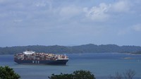 Sebuah kapal kargo menunggu di danau Gatun, untuk transit melalui kunci Agua Clara Terusan Panama di Agua Clara, Panama, Kamis (3/8/2023). Mulai 30 Juli 2023, kapasitas transit harian Terusan Panama disesuaikan menjadi 32 kapal laut per hari, dari normalnya 36 hingga 38 kapal.