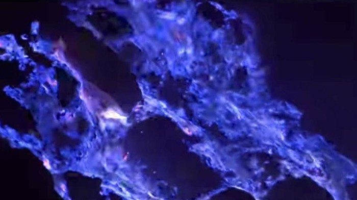 Blue Fire di kawah Ijen
