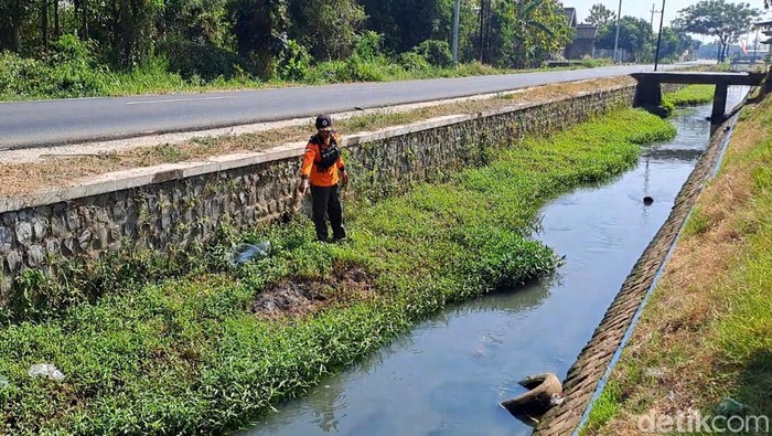 Lokasi penemuan mayat yang dimutilasi di Jombang