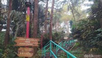 Berkunjung ke Gunung Tidar, traveler dapat melakukan trekking santai. Di bukit yang memiliki ketinggian 503 mdpl tersebut dapat didaki dengan santai karena adanya tangga hingga ke puncak. Waktu tempuh hingga ke puncak pun hanya sekitar 20-30 menit. Sehingga lokasi tersebut juga kerap dijadikan area berolahraga oleh pengunjung. (Eko Susanto/detikcom)  