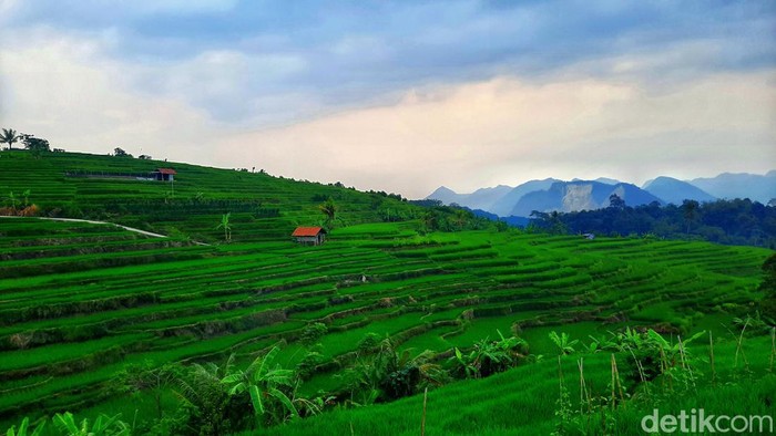 Suasana mini terasering di Desa Kaduela, Kabupaten Kuningan.