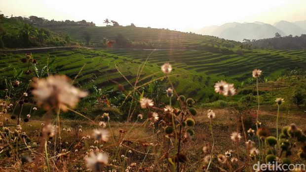 Suasana mini terasering di Desa Kaduela, Kabupaten Kuningan.