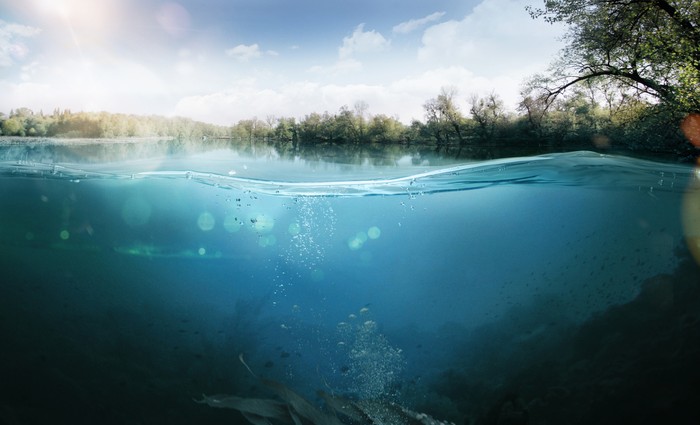 Half underwater half over, over-under split shot of huge Lake Laber