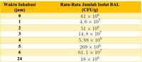 Kumpulan Contoh Soal ANBK SMA 2023 Literasi-Numerasi Dan Kunci Jawaban