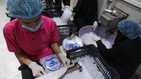 Tinggal di negara yang menghadapi banyak tantangan, termasuk konflik, pengungsian, dan sumber daya yang terbatas, sebagian besar Yaman merasa kesulitan untuk bersiap dan menanggapi dampak gelombang panas. Namun, beberapa warga Yaman mengatakan mereka mulai memasang kipas angin dan AC untuk membantu menjaga rumah mereka tetap sejuk. 