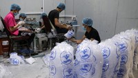 Kota tersebut baru-baru ini mengalami periode cuaca panas dan gelombang panas, dengan suhu mencapai 33°C pada Rabu (19/7). 
