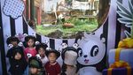 Gemasnya Perayaan Ulang Tahun Giant Panda di Bogor