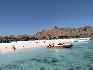 Long Pink Beach yang Eksotis, Pantai Pasir Merah Muda di TN Komodo