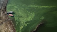 Kawasan ini menjadi lokasi sumber air baku bagi kebutuhan seluruh masyarakat kota Bandung yang mencapai 7.000 hingga 8.000 liter perdetik atau 7 - 8 juta kubik per bulan. 