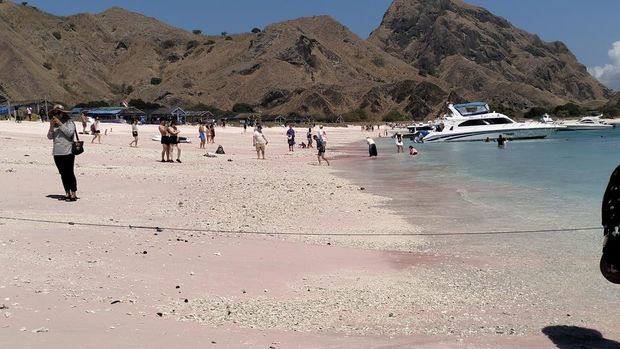 Sejumlah turis menikmati keindahan pantai Long Pink Beach di sisi utara pulau Padar di Taman Nasional Komodo. (Ambrosius Ardin)