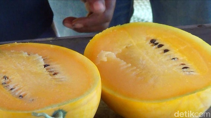 Semangka madu Lamongan