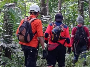Mau Cari Rumput, Nenek Sarsih Justru Hilang 2 Hari di Hutan