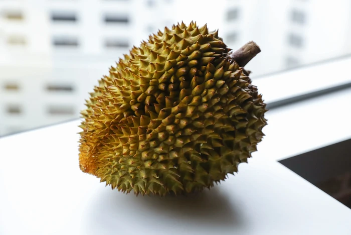 5 Fakta Durian China, Rasanya Hambar Tapi Harga Jualnya Mahal