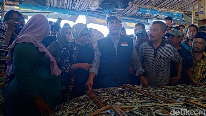 Anies Baswedan saat berkunjung ke salah satu sentra ikan di Muncar, Banyuwangi.