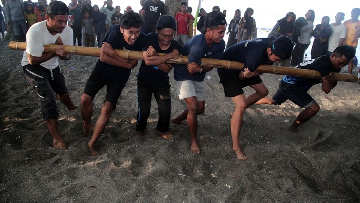 Atraksi bambu gila di Pantai Tobololo Ternate Sejumlah warga berusaha mengendalikan bambu saat atraksi bambu gila di objek wisata Pantai Tobololo, Kota Ternate, Maluku Utara, Minggu (6/8/2023). Atraksi bambu gila yang digelar oleh masyarakat Tobololo tersebut untuk memberi hiburan kepada warga dan pengunjung sekaligus memperkenalkan permainan tradisional khas Maluku Utara. ANTARA FOTO/Andri Saputra/nz.