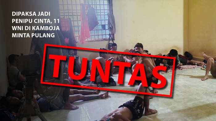 Dipaksa jadi penipu cinta, 11 WNI di Kamboja minta pulang: Tuntas. (Repro: detikcom)