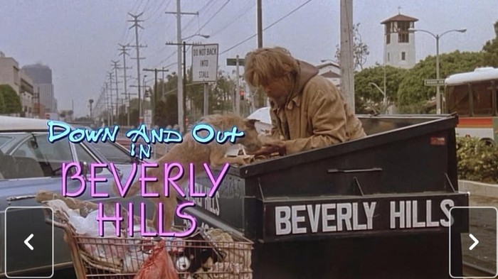 Cuplikan adegan di dalam film Down and Out in Beverly Hills (1986).