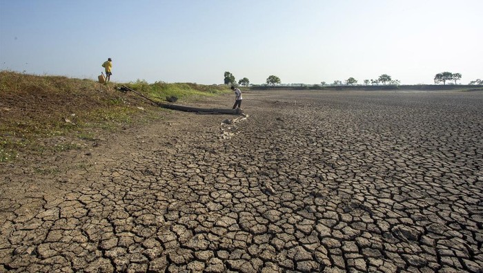 Waduk di Juntinyuat, Indramayu, Jawa Barat, mengering akibat terdampak oleh fenomena El Nino, Snin (7/8/2023). Ini penampakannya.
