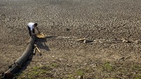 Petani merapihkan selang air yang tidak terpakai akibat waduk mengering di Juntinyuat, Indramayu, Jawa Barat, Selasa (7/8/2023).  