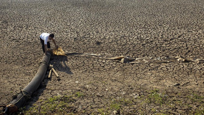 Waduk di Juntinyuat, Indramayu, Jawa Barat, mengering akibat terdampak oleh fenomena El Nino, Snin (7/8/2023). Ini penampakannya.