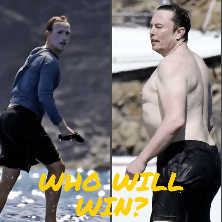 Jelang laga Elon Musk vs Mark Zuckerberg, meme keduanya bertebaran di internet. Ayo detikers, tentukan pilihanmu sekarang juga!