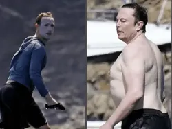 Meme Duel Elon Musk vs Mark Zuckerberg, Mana Jagoanmu?