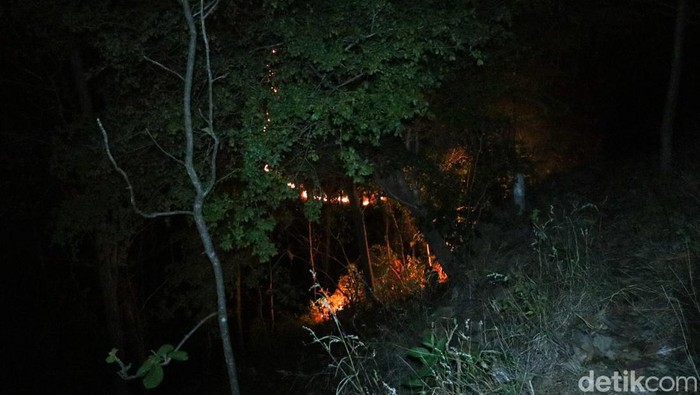 Kebakaran hutan di Ponorogo bakar pipa sumber air