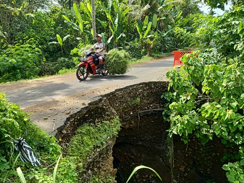 Kondisi jalan kabupaten yang amblas berlokasi di perbatasan atara Banjar Pangkung Liplip dan Banjar Munduk, Desa Kaliakah, Kecamatan Negara, Kabupaten Jembrana, Senin (7/8/2023). (I Putu Adi Budiastrawan/detikBali).