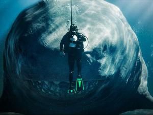 Megalodon Memang Bertampang Monster Ganas Tapi Geraknya Lambat