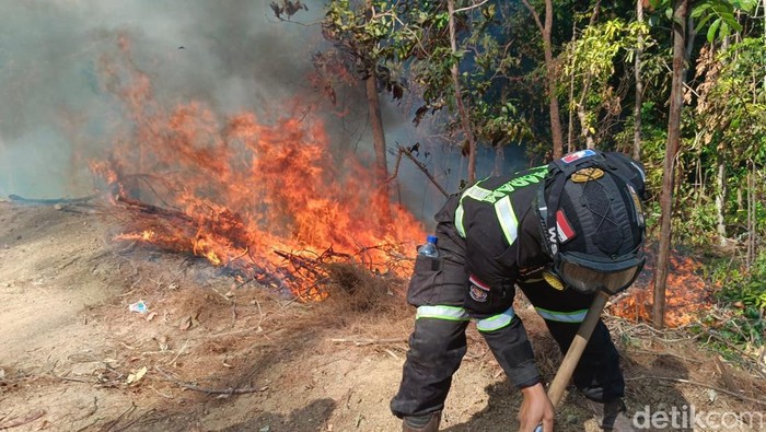 Petugas Damkar Kuningan dan tim gabungan saat berjibaku memadamkan kebakaran hutan di Kuningan