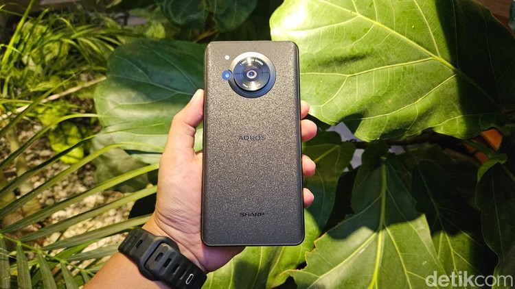 Sharp Aquos R7s