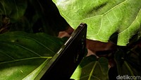 Sharp Aquos R7s