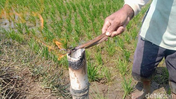 Sumur bor yang mengeluarkan gas berapi di Desa Nampu, Kecamatan Purwodadi, Kabupaten Purworejo, Senin (7/8/2023).