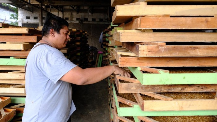 Usaha Ulat Hong Kong Usaha Ulat Hong di Jakarta ini omzetnya Rp 450 juta per bulan.