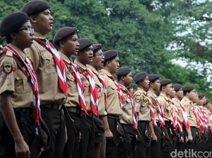 Pramuka Ternyata Berasal dari Kata Ini, Siapa Baru Tahu?