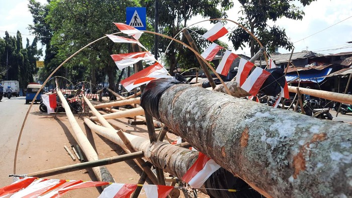 Jelang HUT RI, Pedagang Pohon Pinang di Manggarai Mulai Gelar Dagangan