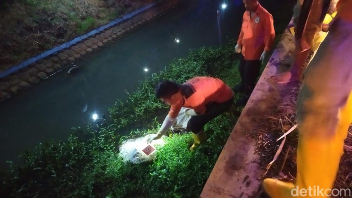 Mayat mutilasi di Jombang ditemukan tidak berbusana dan tanpa kepala. Potongan tubuh mayat wanita itu terbungkus dua karung plastik putih dan sudah membusuk.