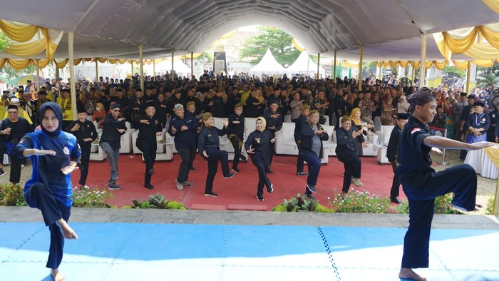Pemerintah Kabupaten (Pemkab) Serang berkolaborasi dengan Universitas Gadjah Mada (UGM) menggelar Festival Budaya Tanara yang menampilkan berbagai atraksi kebudayaan khas Kabupaten Serang untuk kedua kalinya.