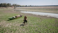 Badan Meteorologi Klimatologi dan Geofisika (BMKG) memprediksi puncak kemarau kering tahun 2023 akan terjadi mulai bulan Agustus hingga September yang berdampak di sejumlah wilayah di Indonesia mengalami kekeringan ekstrem karena dampak dari fenomena El-Nino atau kemarau panjang.